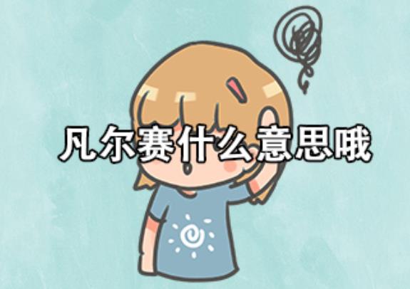凡尔赛什么意思哦