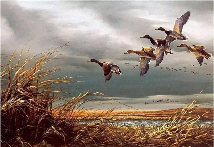 问世间情为何物描写的是什么东西？