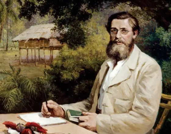 物竞天择适者生存是谁提出的