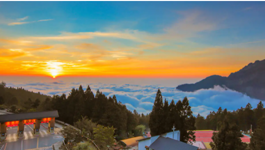 阿里山在哪个省