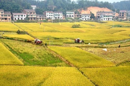 20万平方米是多少亩