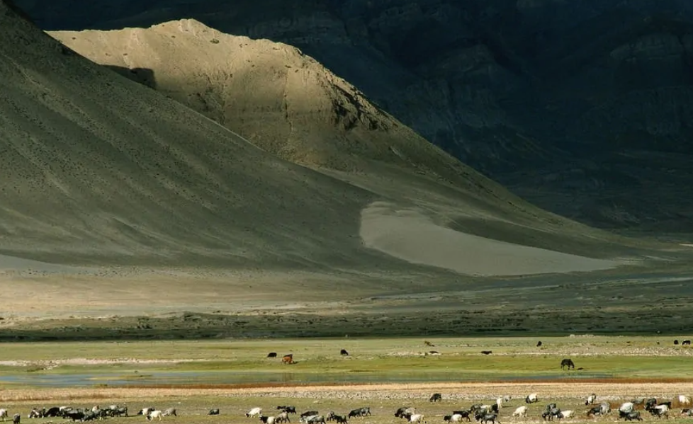 陆地主要分布在北半球还是南半球