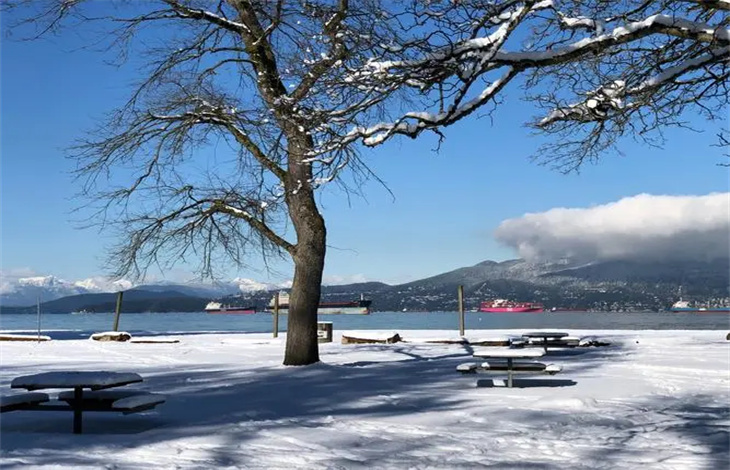晚来天欲雪能饮一杯无什么意思