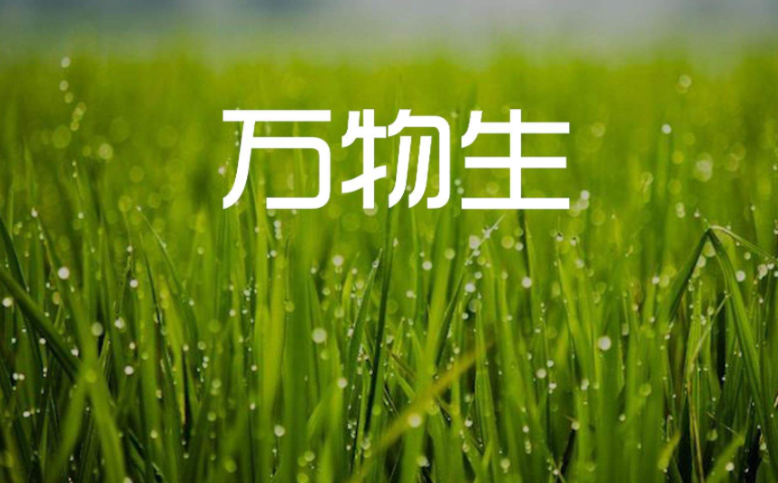 萨顶顶的万物生是什么意思