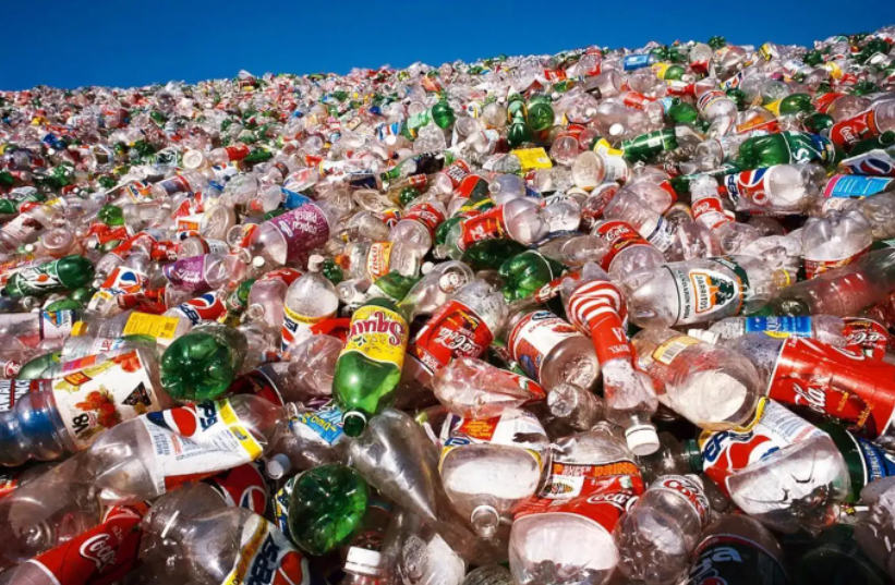 废弃的塑料垃圾会对环境造成怎样的危害？