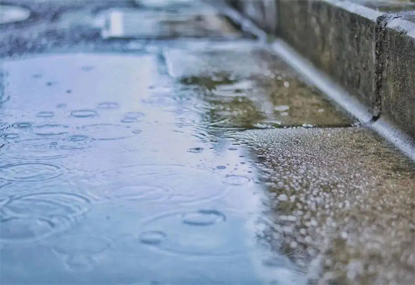 rainy是什么意思