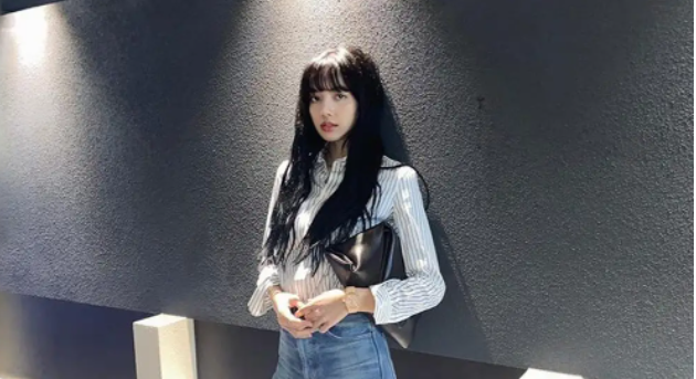 lisa是谁