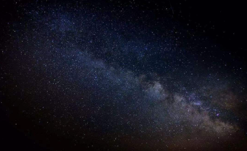 张万森什么梗