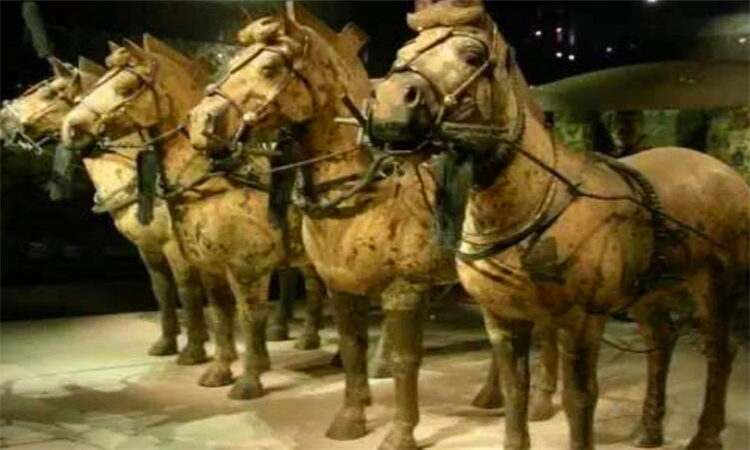 青铜之冠是指什么