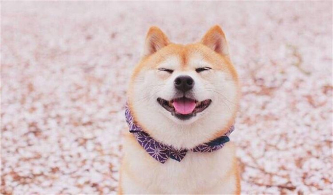眉开眼笑的意思