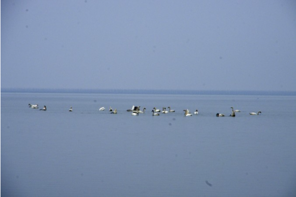 鄱阳湖在哪个市