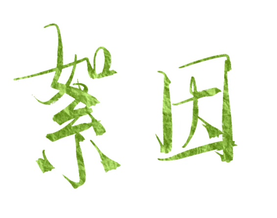 兰因絮果是什么意思