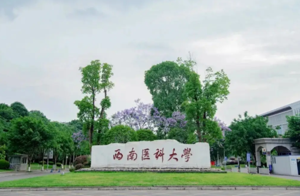 西南医科大学是几本