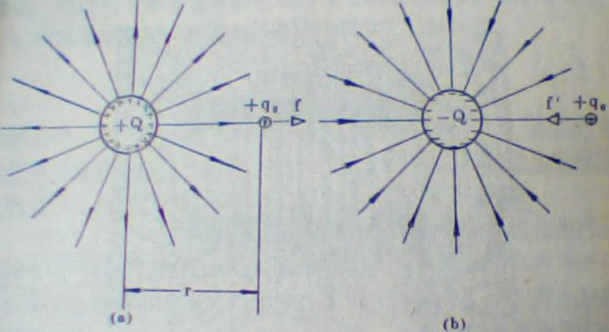 场强是标量还是矢量
