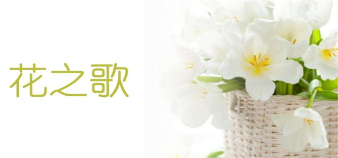 花之歌的作者是谁