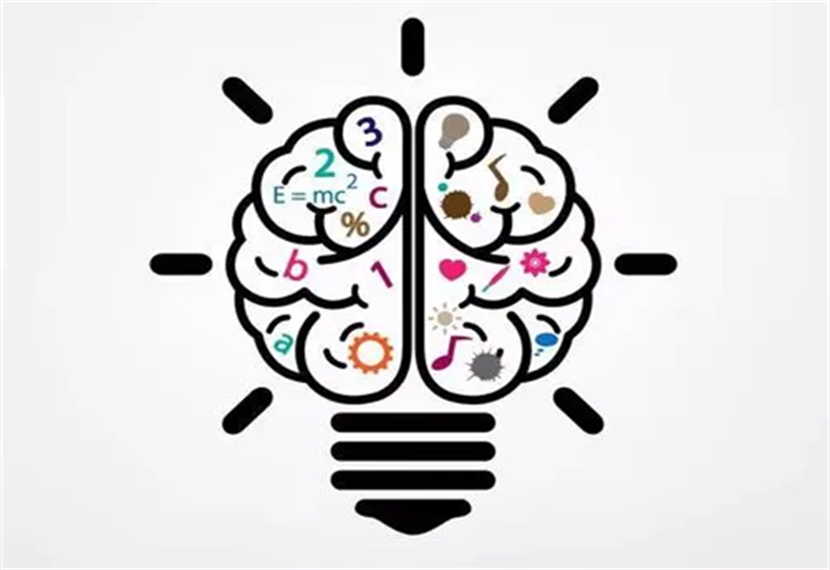 当前脑科学中最有意义的是对什么的研究？