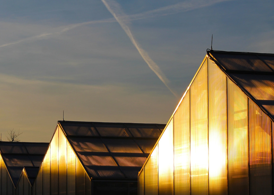 杯弓蛇影是折射还是反射