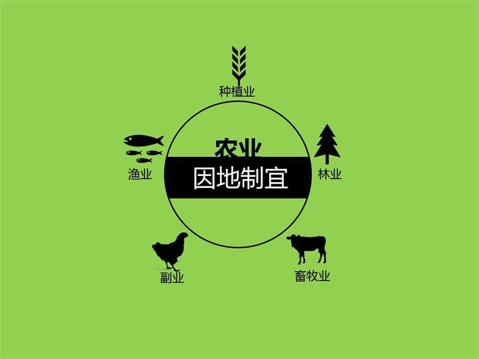 因地制宜的意思