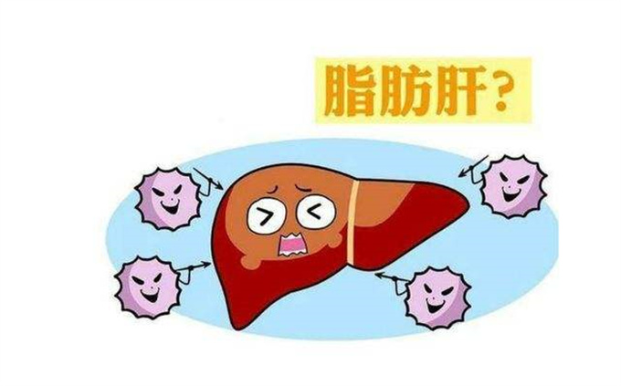 脂肪肝是什么意思