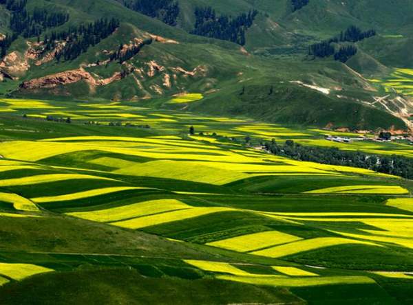 一平方分米等于多少平方厘米