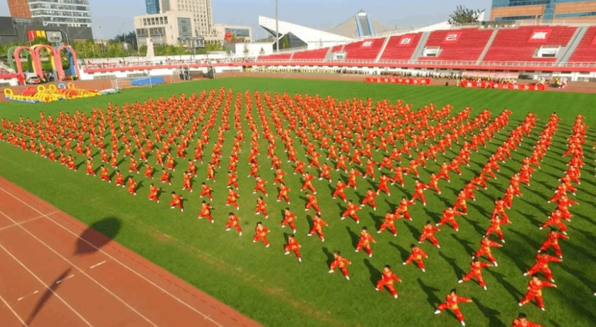 武术学院一年学费多少