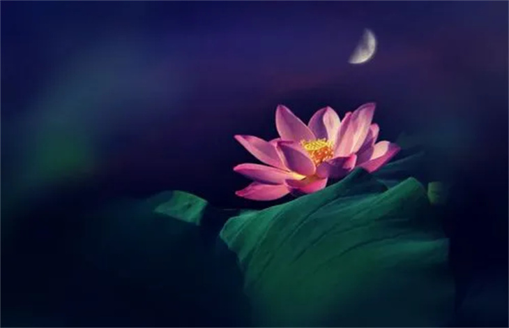 观书有感其一其二的意思