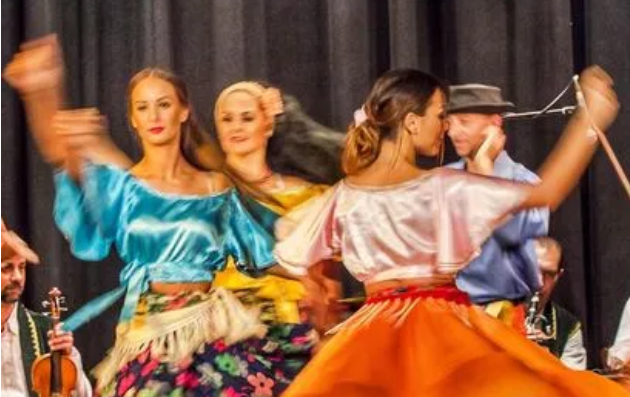 波尔卡是什么意思