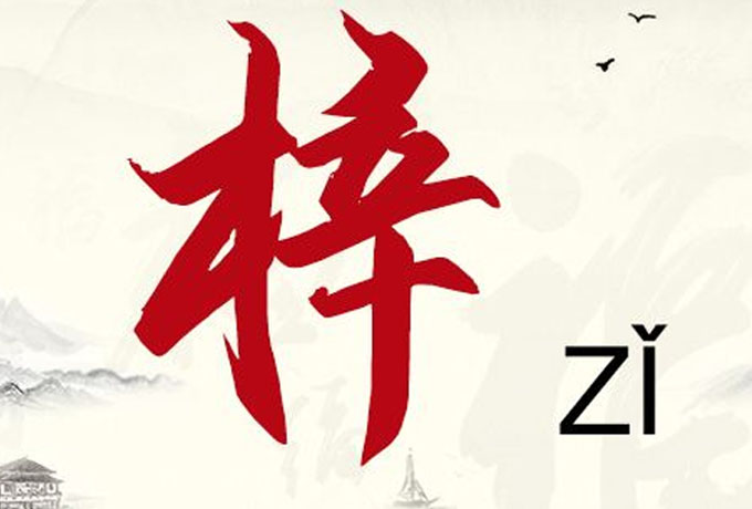 梓字取名的富意