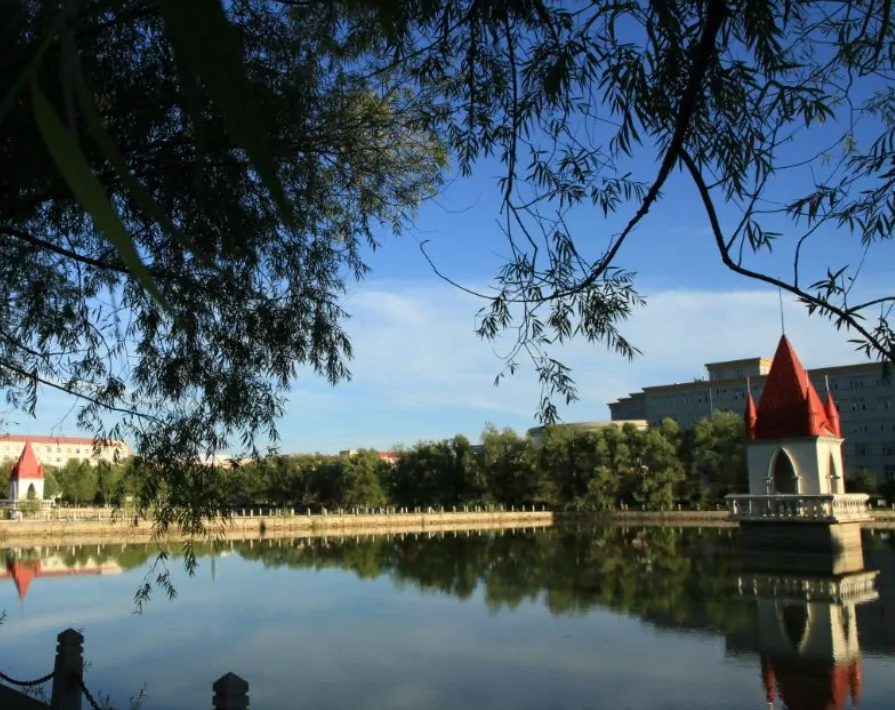 哈尔滨师范大学是985还是211