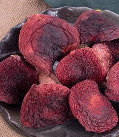 红香菇怎么种？