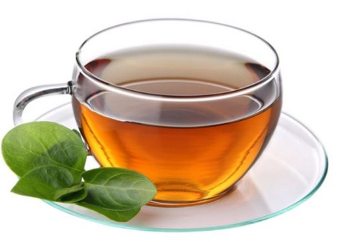 泡过的茶叶适合养什么花？