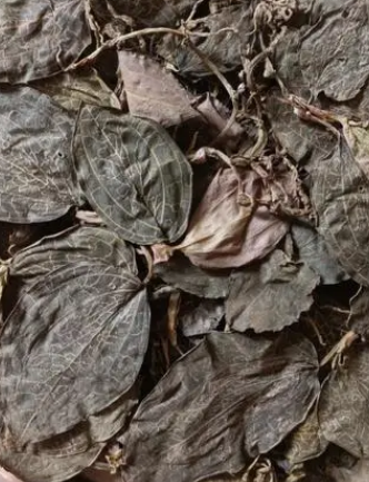 野生金线莲什么季节开花？