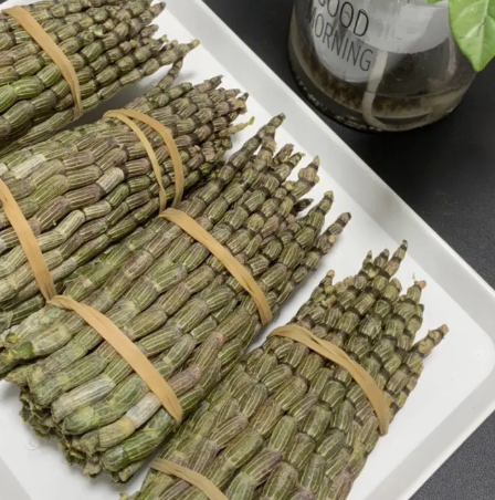 石斛什么季节开花的？