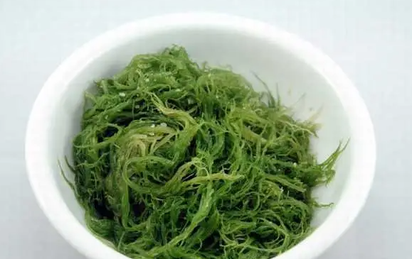 海草的作用和功效禁忌有哪些？