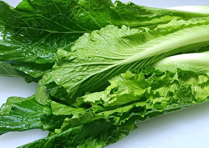 小白菜用什么肥料最好