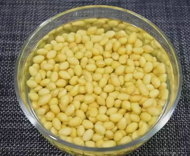 熟黄豆水适合浇什么花