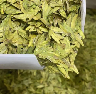 潍坊适合种什么茶叶