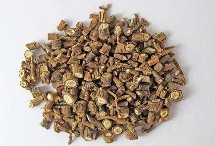 柴胡种子怎么处理？
