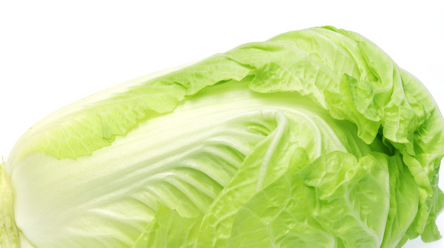 大白菜选种播种