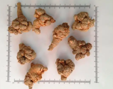 三七的种植与生长条件需要什么？
