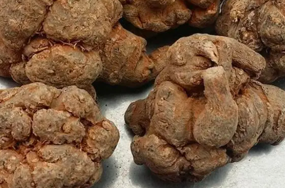 三七适合什么土壤种植？