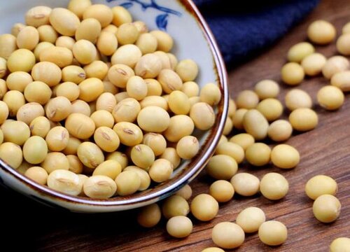 2023大豆种植前景及市场价格行情分析