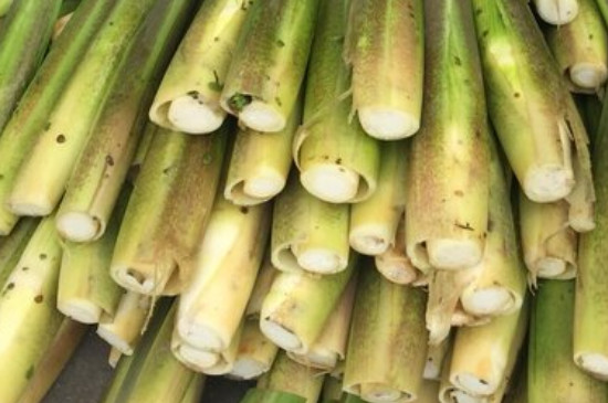 种植茭白的最佳时间是什么时候？