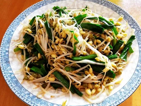 种植豆芽的利润如何？