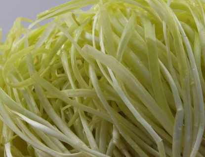 韭黄和韭菜是一种菜吗?