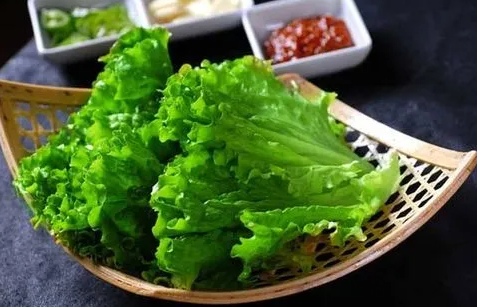 生菜有几种品种？