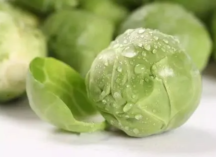 甘蓝有几个品种？