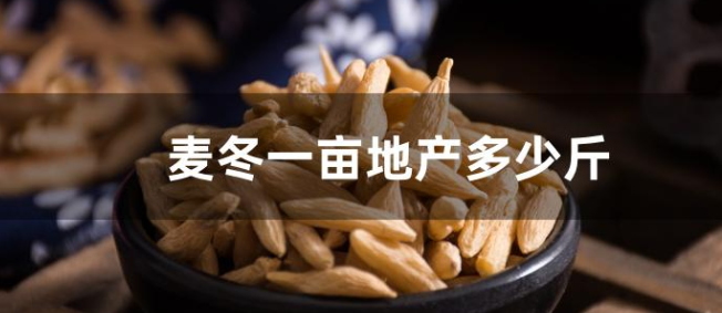 麦冬一亩地能产多少斤？