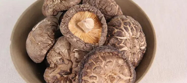 农村种什么菇赚钱？