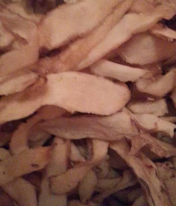 玉竹什么品种是最好的？